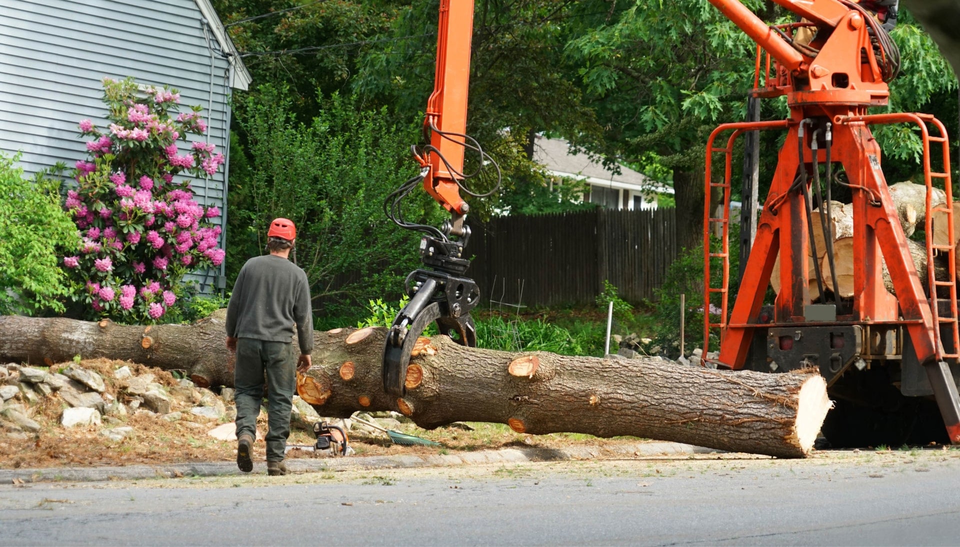 Local partner for Tree removal services in Madison