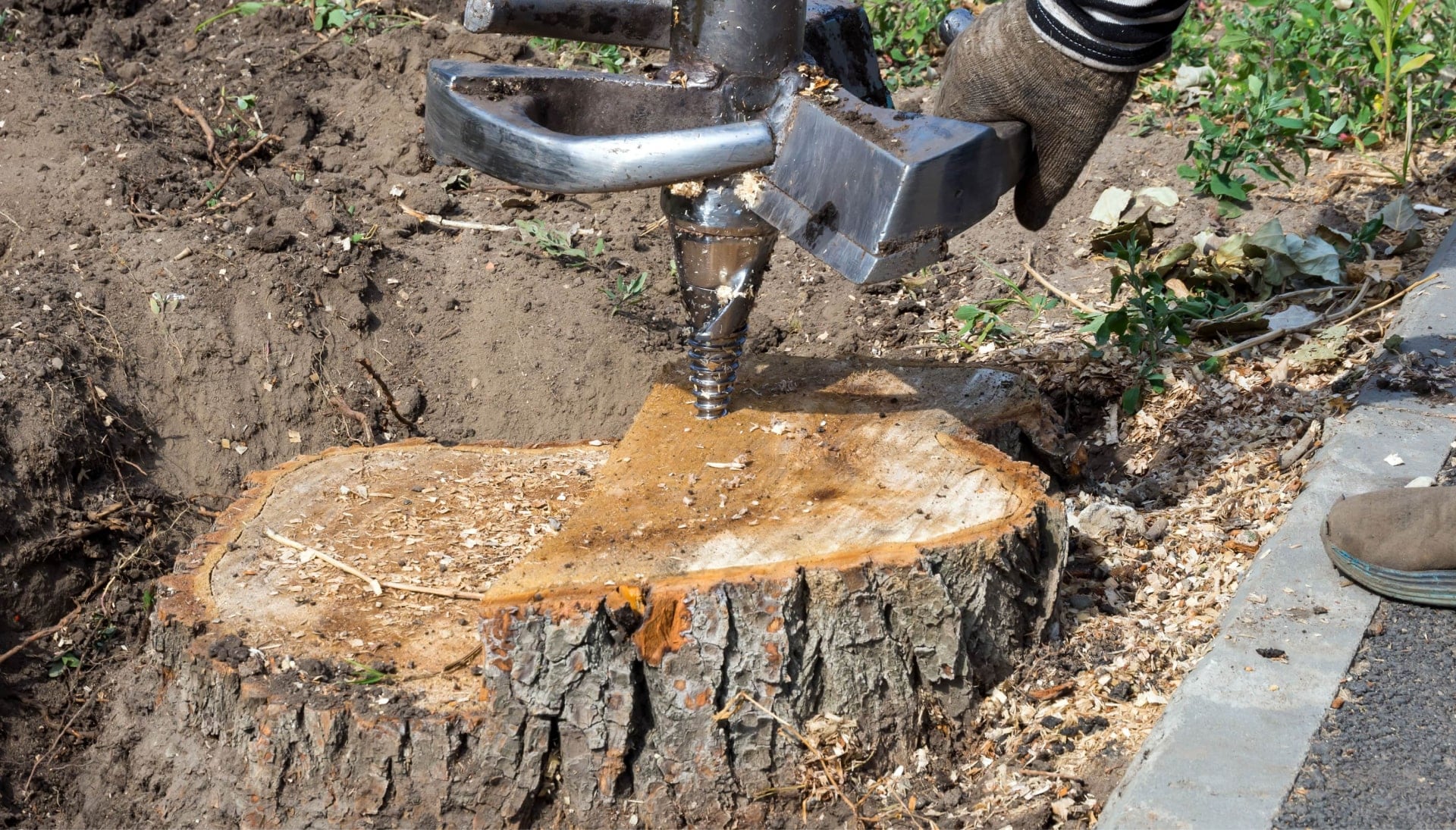 Madison Tree stump removal